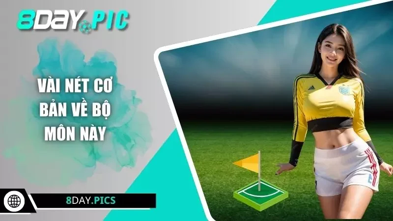 Vài nét cơ bản về bộ môn này