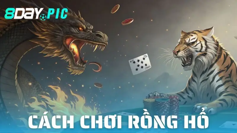 Cách Chơi Rồng Hổ 8DAY: Bí Kíp Làm Giàu Nhanh 2025