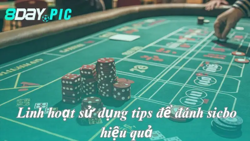  Linh hoạt sử dụng tips để đánh sicbo hiệu quả